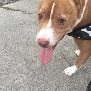 Meet your Posher, Ethan